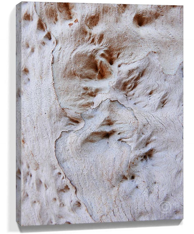 tree wall art