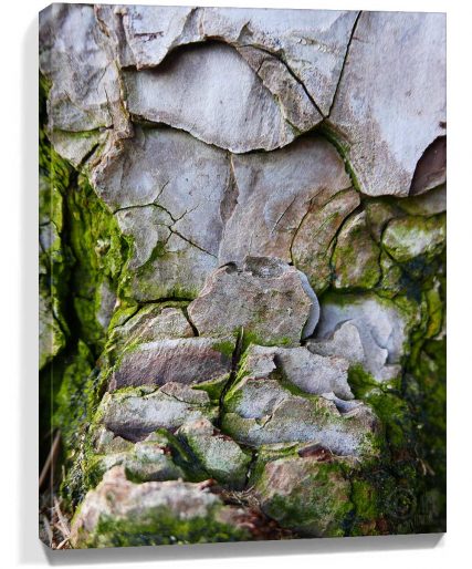 trees wall art