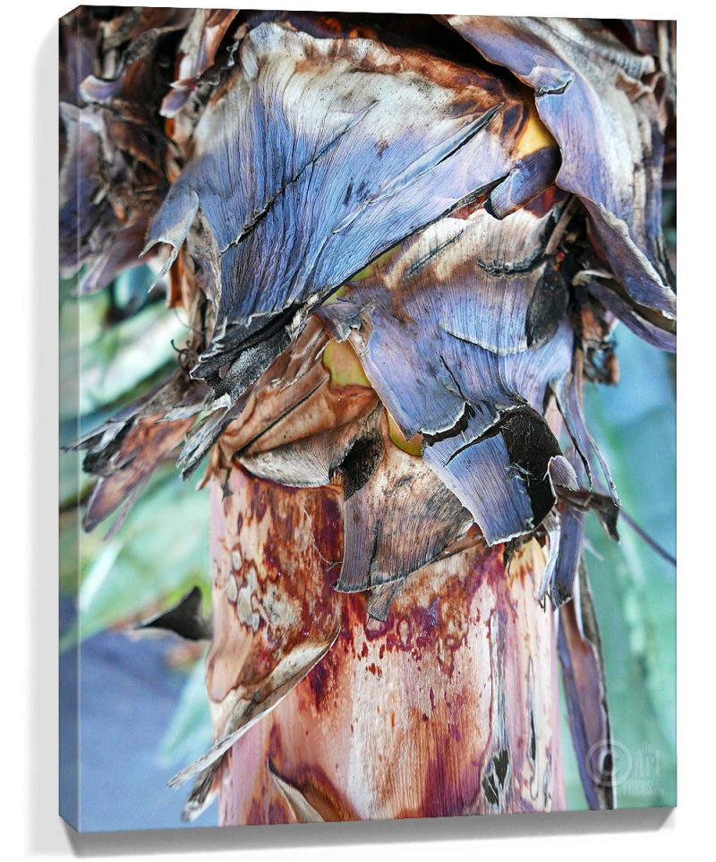 Tree Wall Art