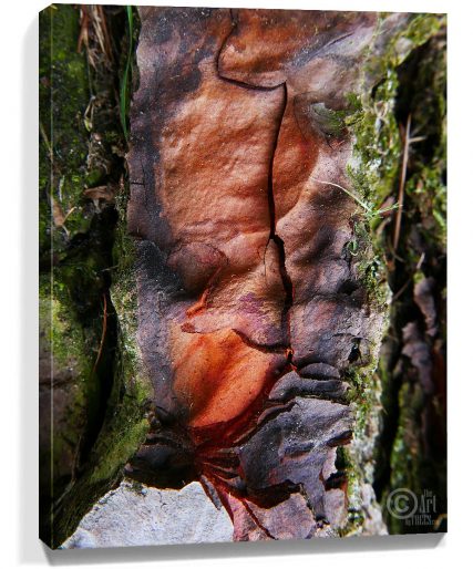 Trees wall art sku#1550548