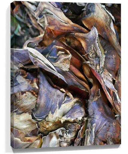 Trees wall art sku#2339376