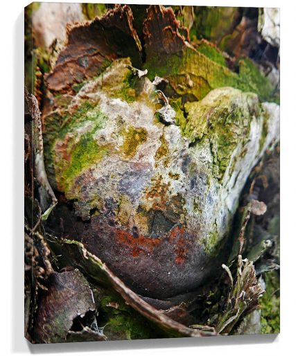 tree wall art