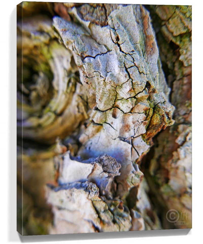 tree wall art