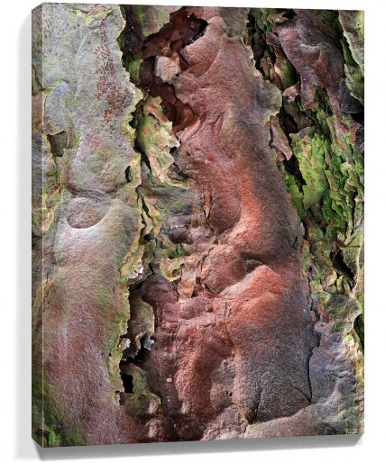 trees wall art