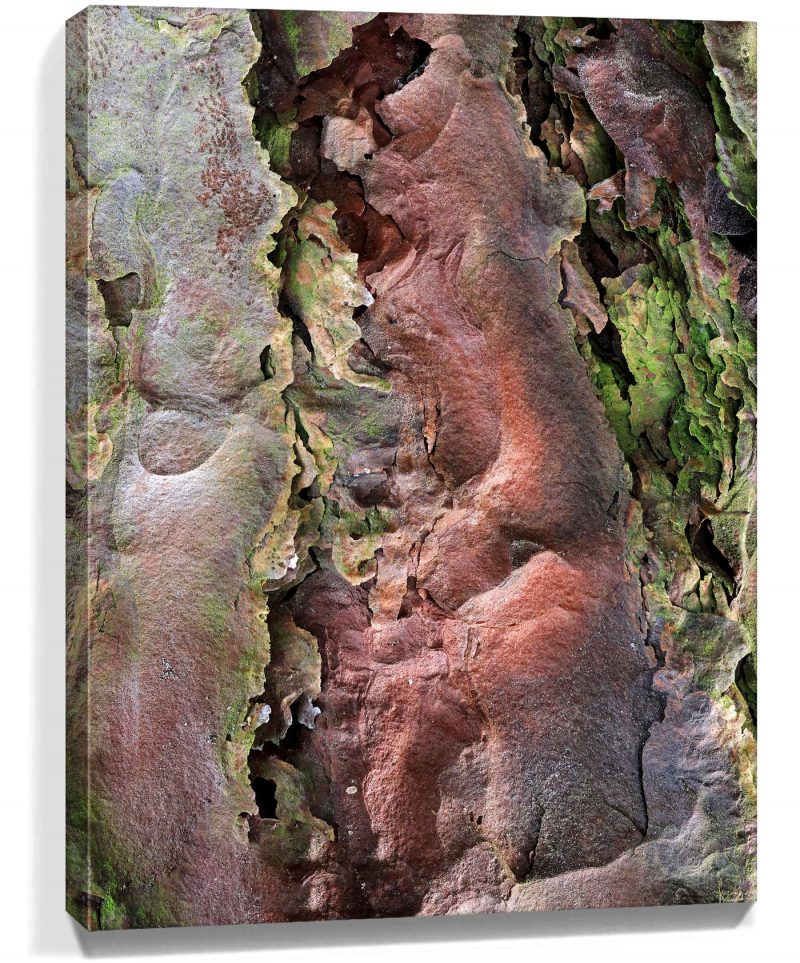 trees wall art