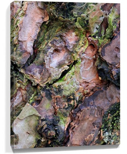 Trees Wall Art