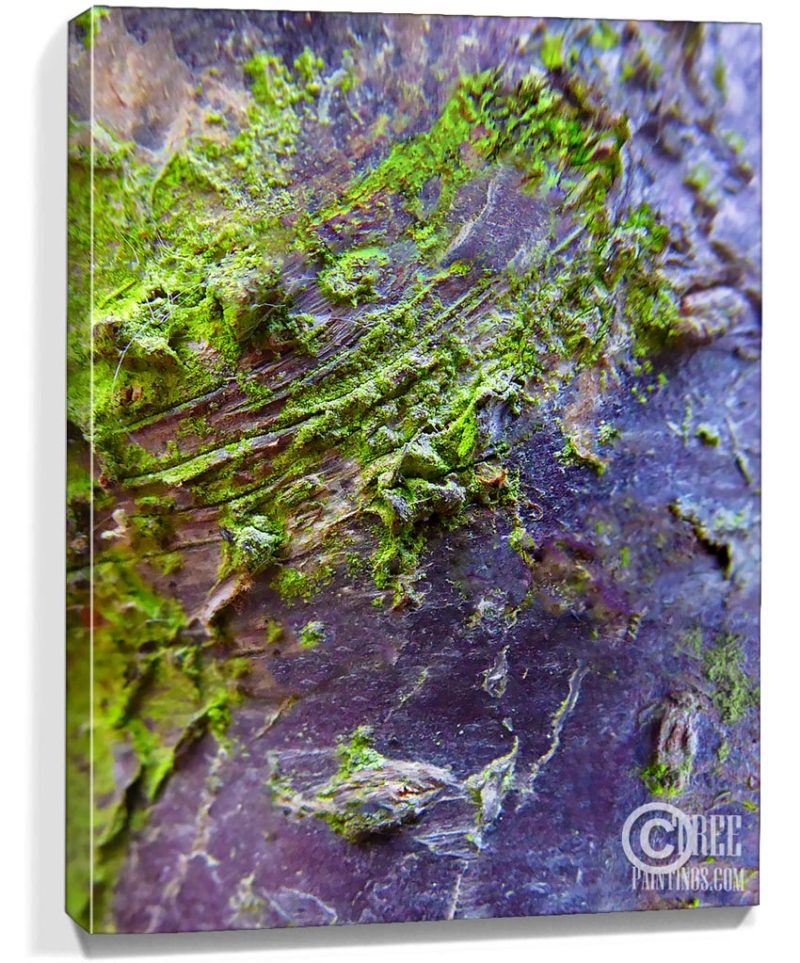 tree art for sale
