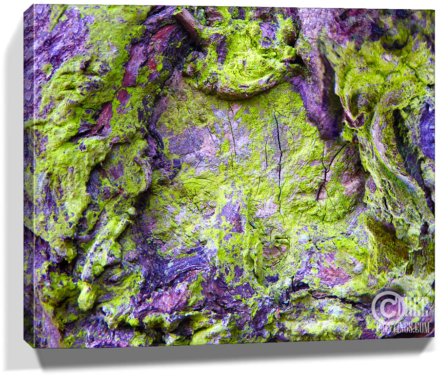 tree art for sale