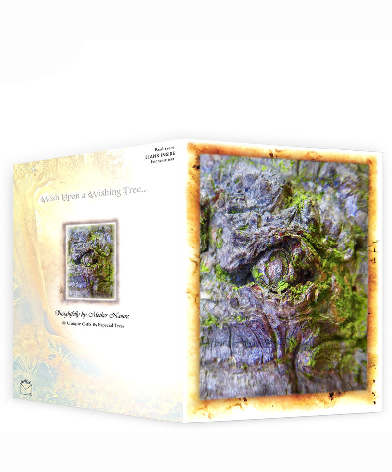 tree gifts greeting cards for sale