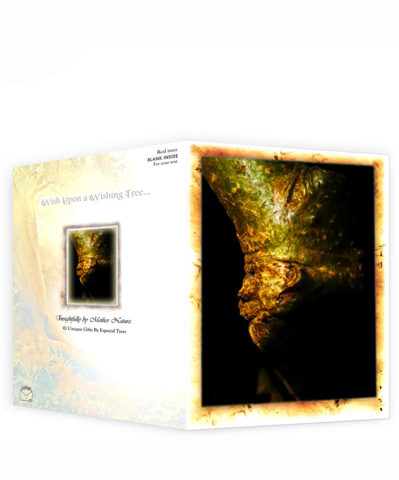 tree pictures cards