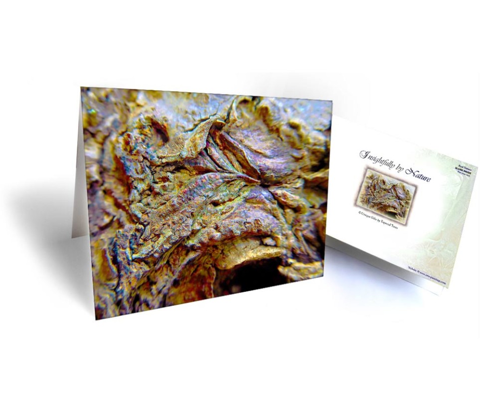 tree art greeting cards