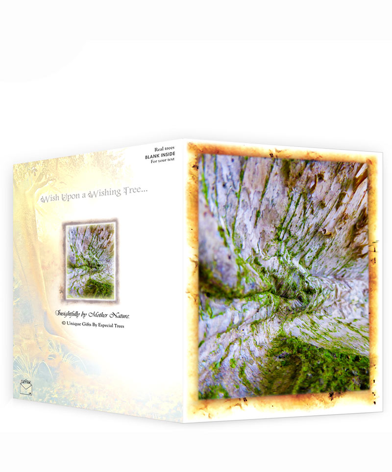 tree gifts