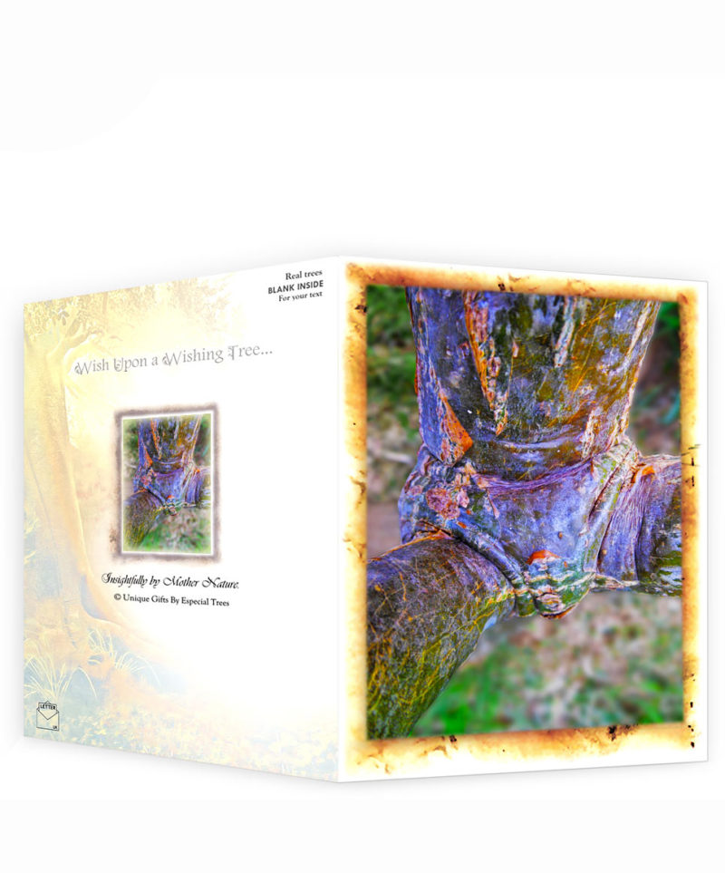 tree gifts