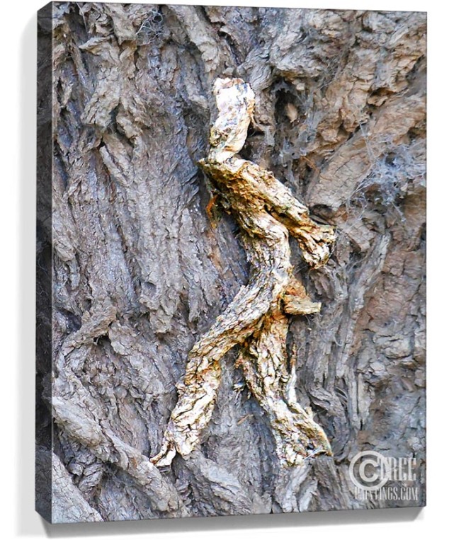 trees art prints