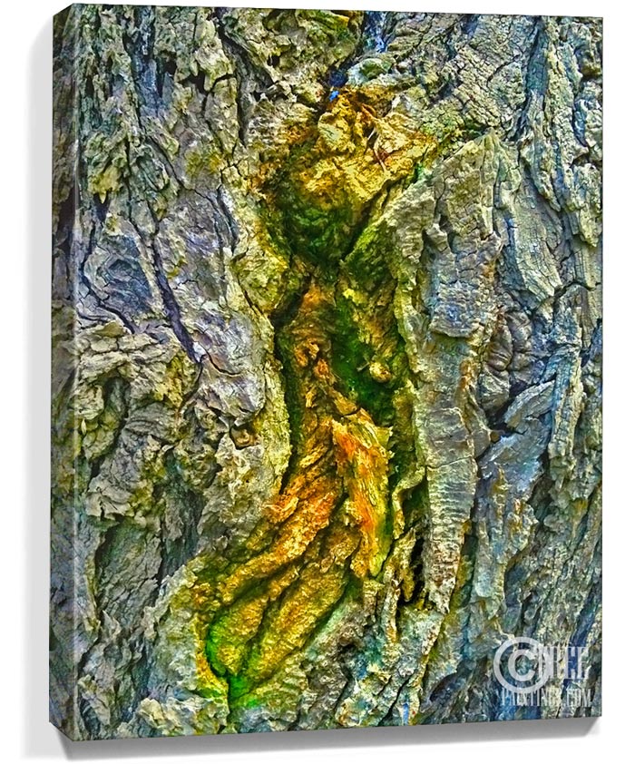 trees prints for sale