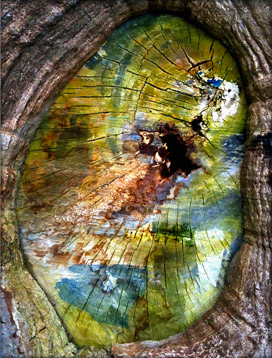 tree-artwork-wall-canvas-decor
