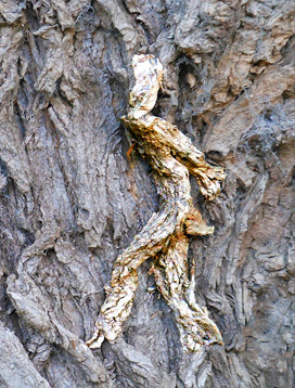 tree-artwork-wall-canvas-decor