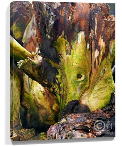 Trees wall art