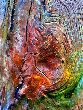 Tree Wall Artwork Framed Sku#867  
