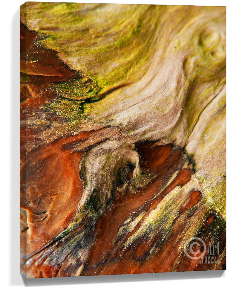 tree wall art