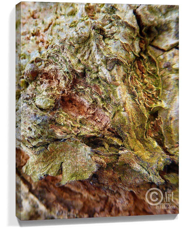 Tree wall art decor