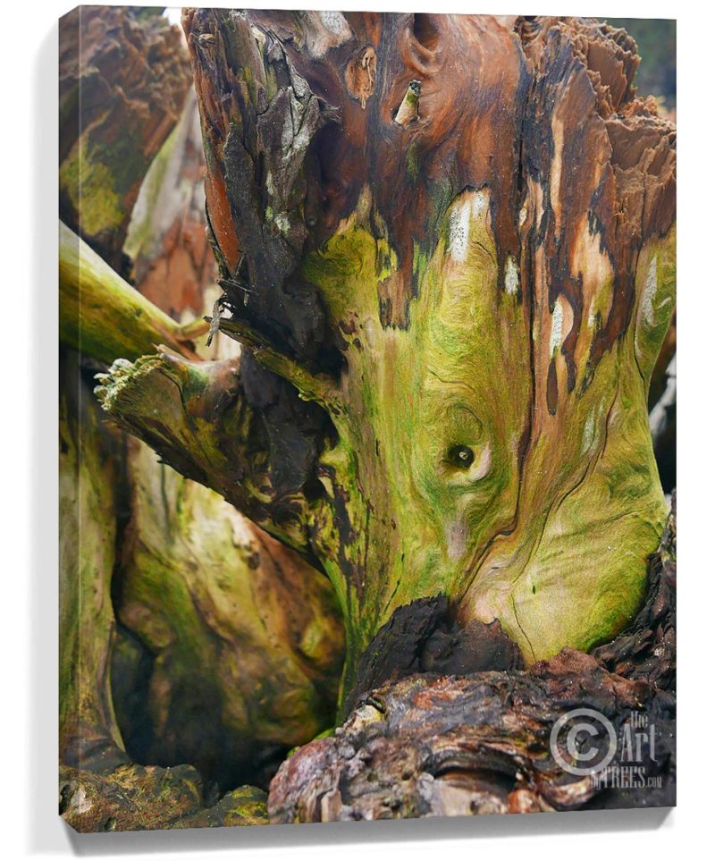 tree artwork