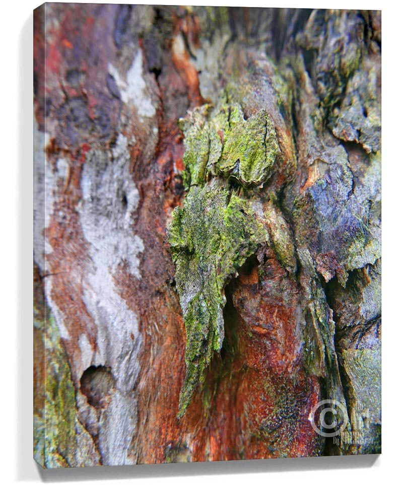 trees wall art