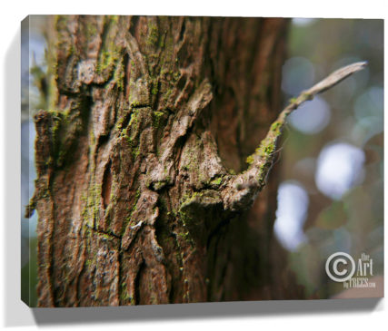 trees wall art