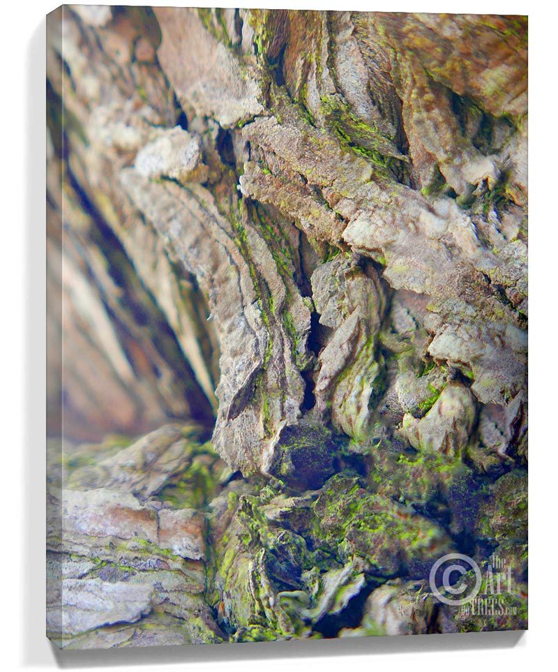 trees wall art