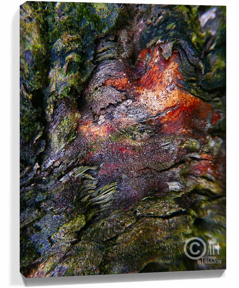 tree wall art