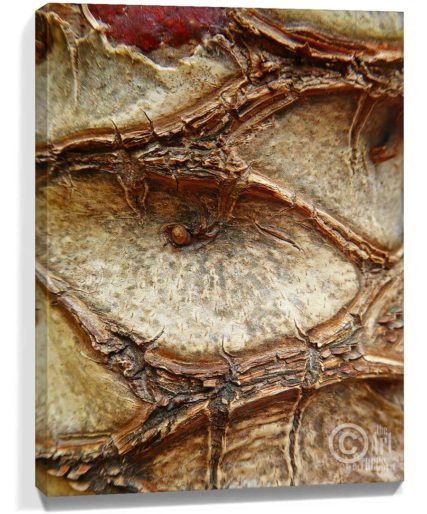 Tree Wall Artwork Sku#3245252