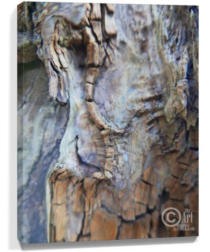 trees wall art
