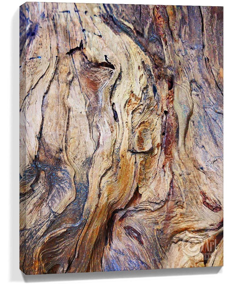 trees art wall decor