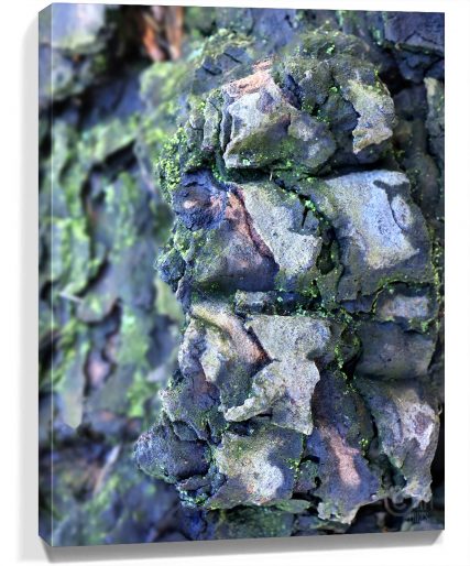 Trees Wall Art