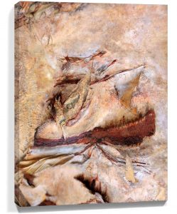 Trees wall art sku#1587577