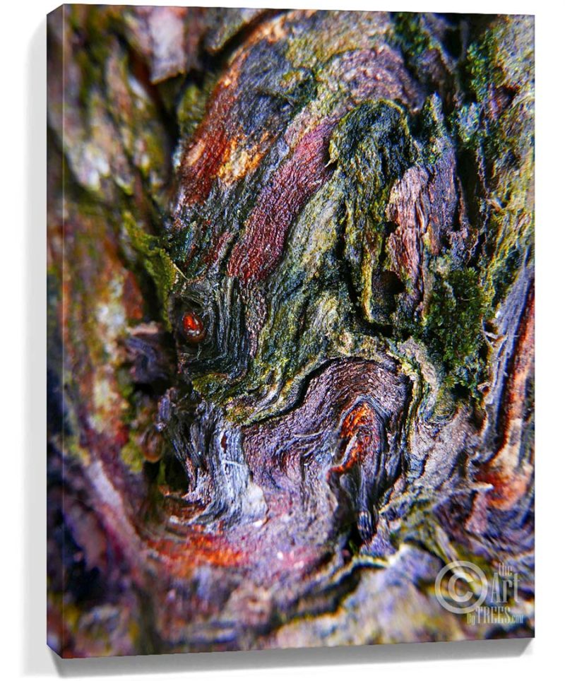 trees wall art for sale