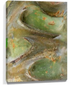 Trees wall art sku#2248812