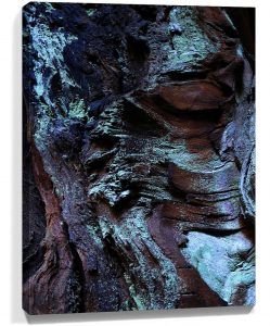 Trees wall art sku#2572551
