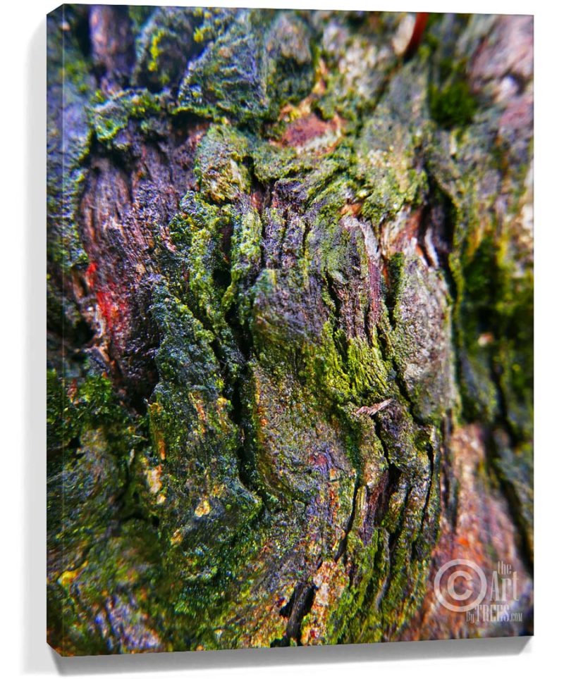 trees wall art