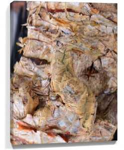 Trees canvas wall art sku#4157720