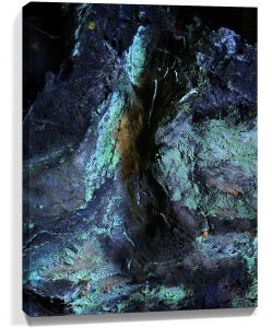 Trees wall art sku#4274457
