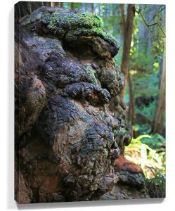 Trees wall art sku#4725288