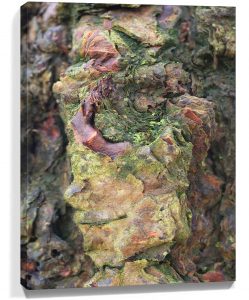 Trees wall art sku#7127415
