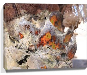 Trees wall art sku#7147775
