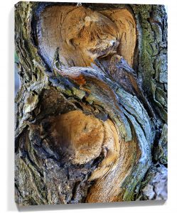 Trees wall art sku#8214728